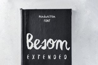 Besom Extended: A Playful Script Font for Modern Web Design