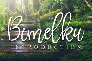 Bimelku: The Handwritten Font That Boosts Campaign Clarity