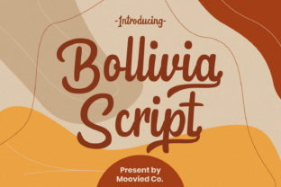 Bollivia: A Designer's Review for Real Branding
