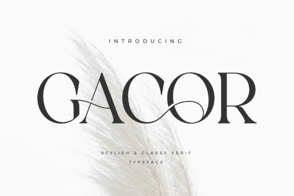 Gacor: A Serif Font for Real-World Design