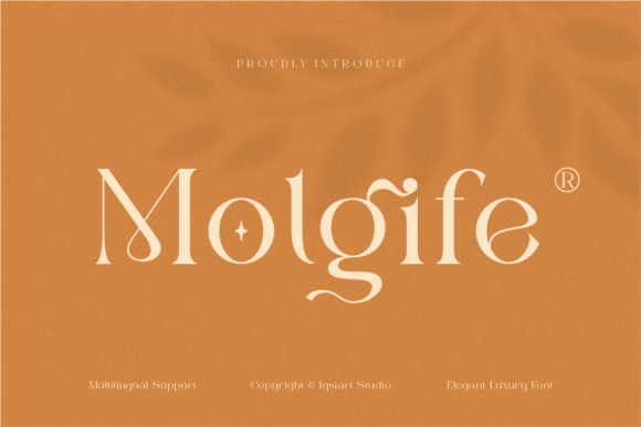 Molgife: A Versatile Serif Font