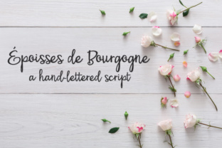 PN Époisses De Bourgogne: A Script Font for Polished Branding