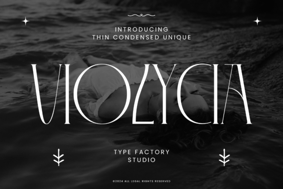 Violycia: Elegant Serif Font for Creative Projects
