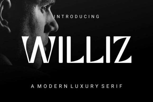 Williz: A Premium Serif Font